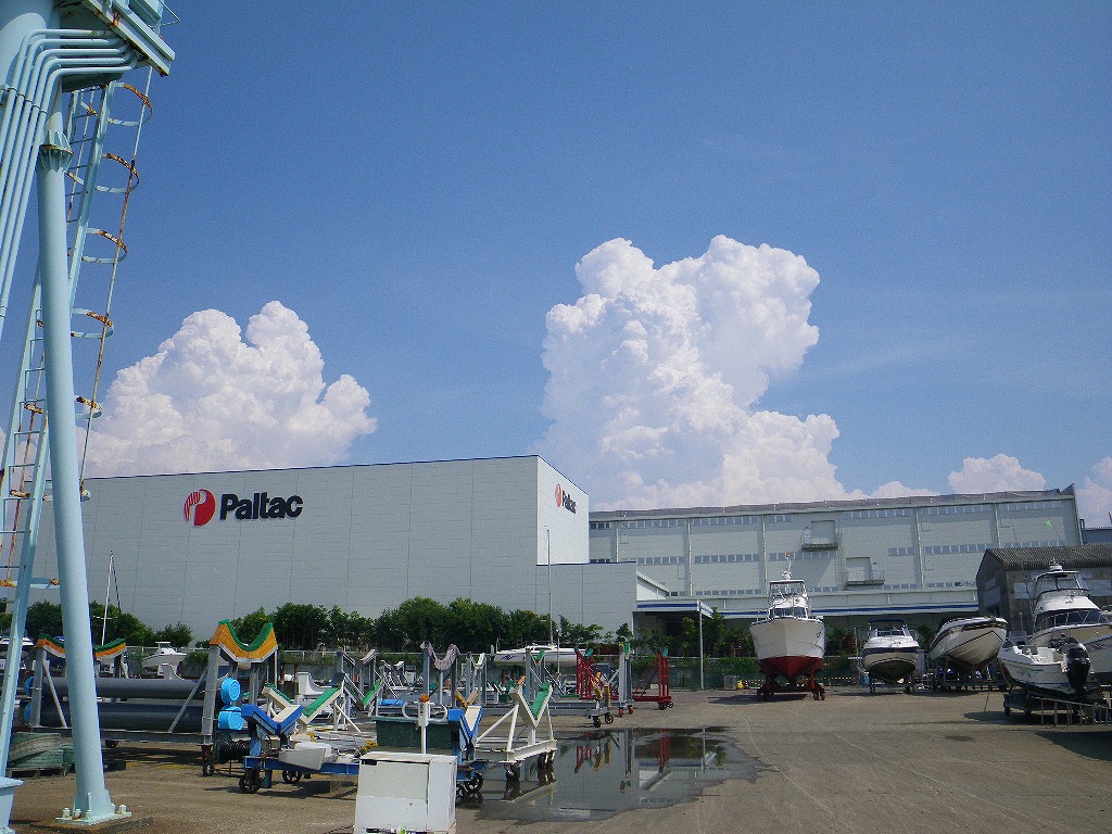 IMGP3374.jpg