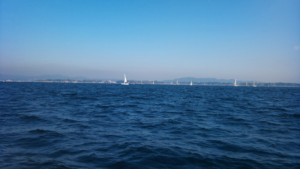 2010-11-06_10.17.29_.jpg