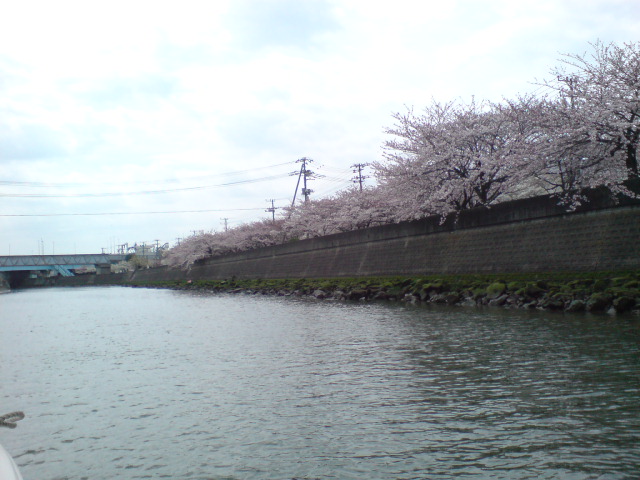 20100403122033.jpg