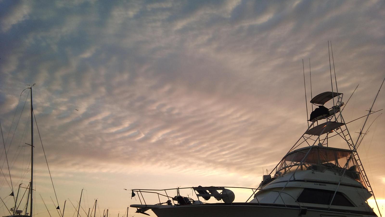 2011-01-11_16.28.35.jpg