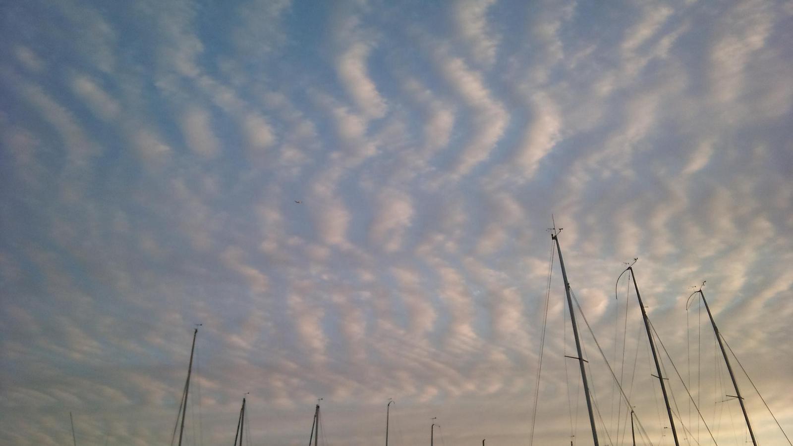 2011-01-11_16.28.51.jpg