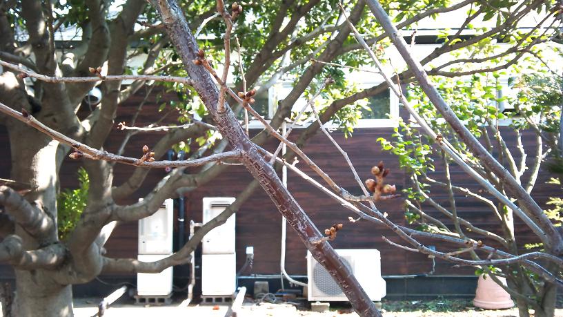 2011-03-09_11.26.38.jpg