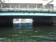 DSCF0105.jpg