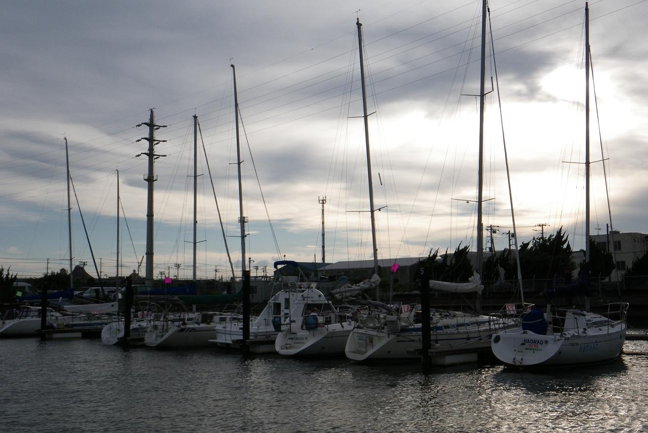 IMGP0810.jpg