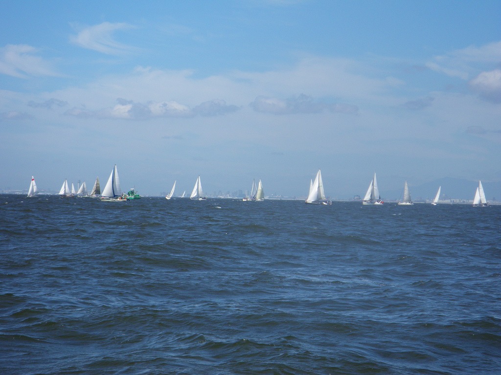 IMGP0859.jpg