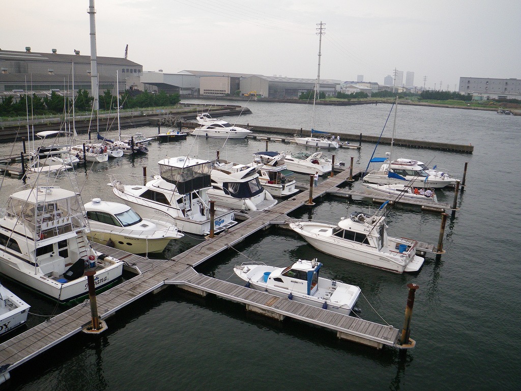 IMGP0910.jpg