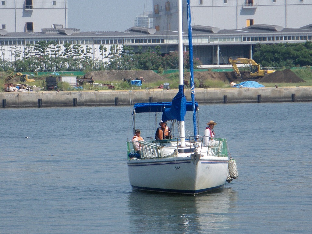 IMGP1184.jpg
