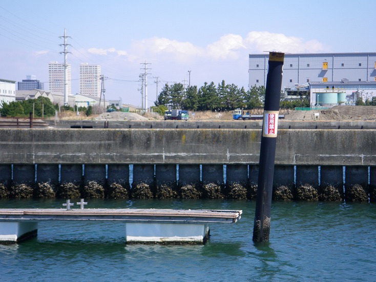 IMGP2647.jpg