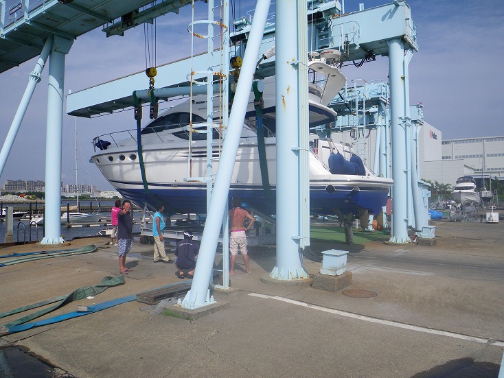 IMGP3126.jpg