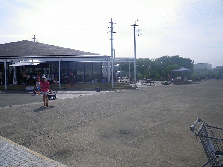 IMGP3130.jpg