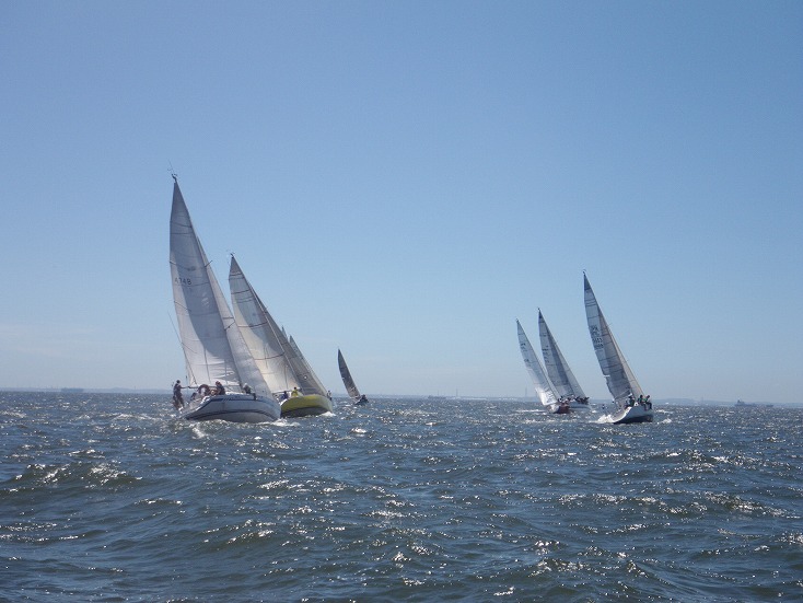 IMGP3197.jpg