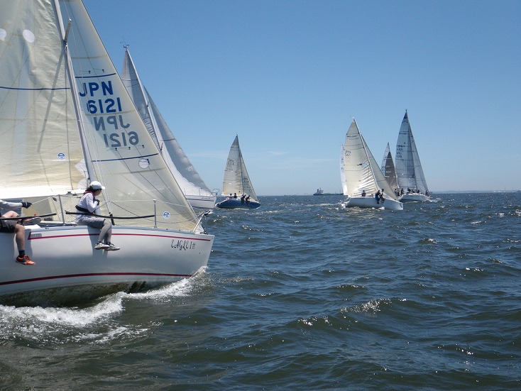 IMGP3199.jpg