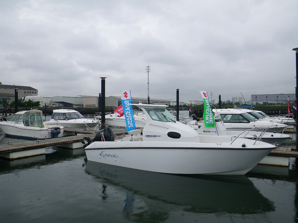 IMGP3344.jpg