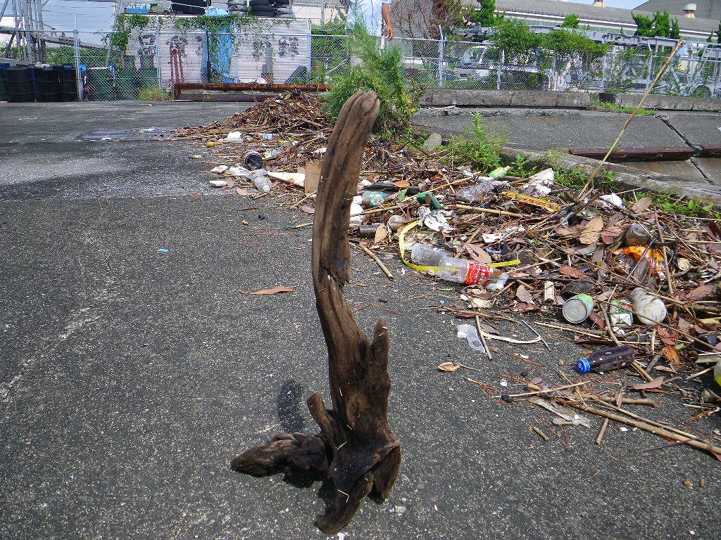 IMGP3500.jpg