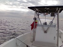 浦安マリーナ